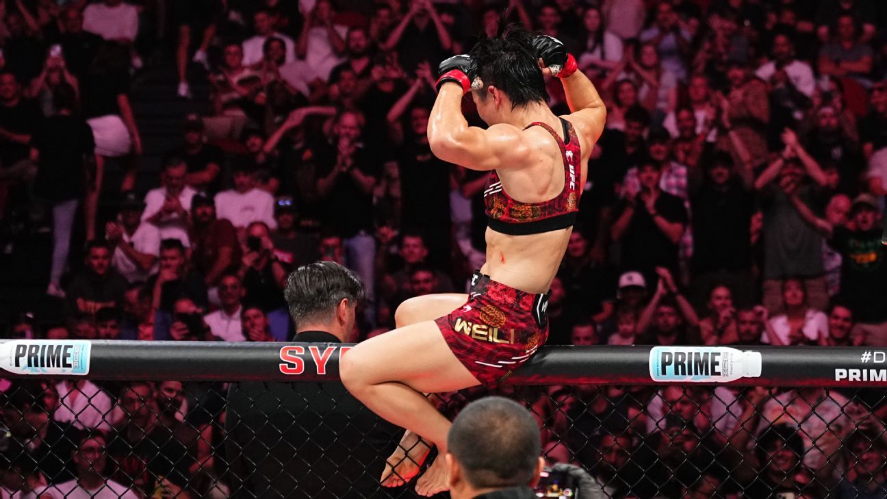 他采用了高 他采用了高